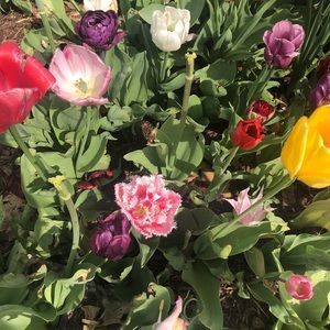 Meet your Posher, Kylie